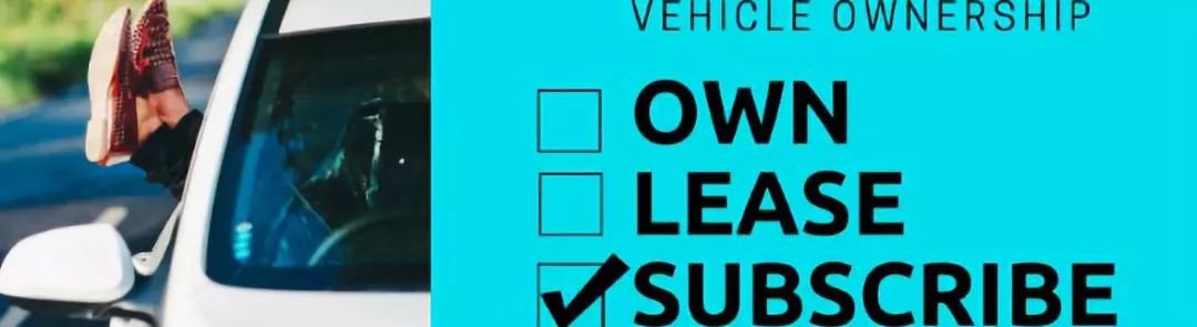 搅局者电商运营,网飞netflix无耻之徒