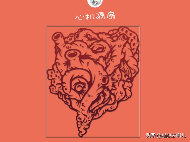 养猫攻略视频,养猫攻略文字版