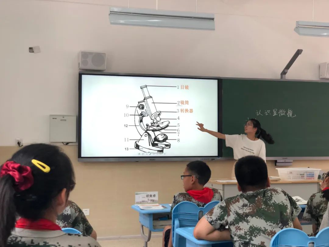 南师附中邺城路初级中学最新消息,南师附中邺城路分校怎么样