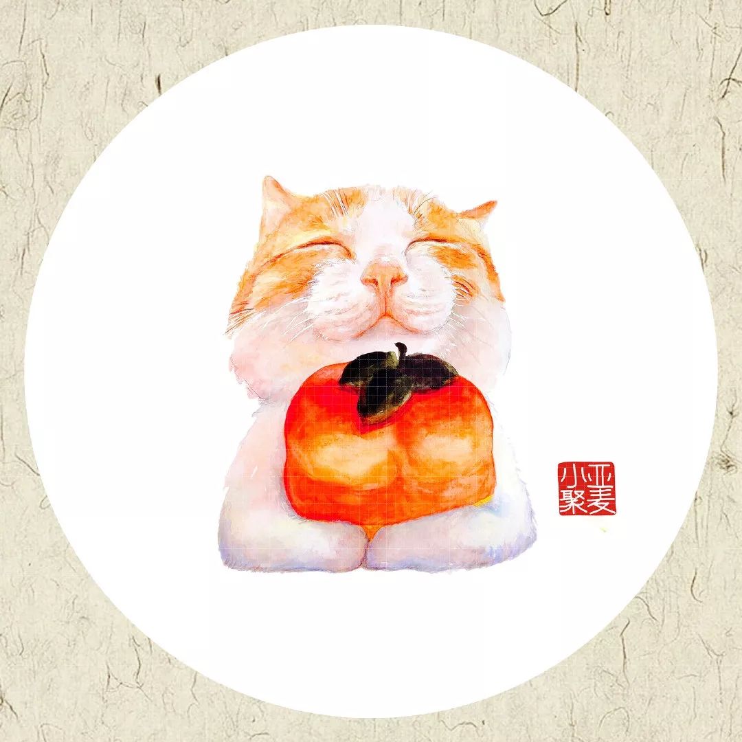 可爱的橘猫插画,一组可爱的治愈系猫咪插画