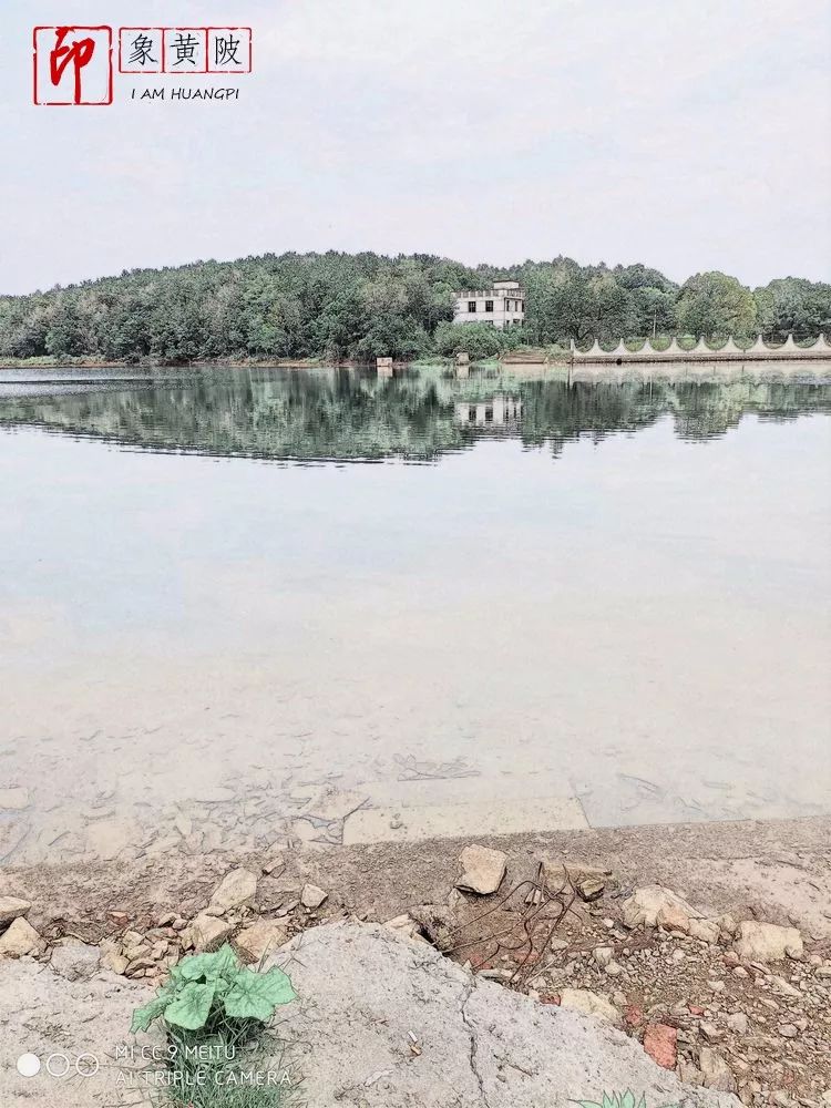 秋湖游泳,武汉木兰湖游泳