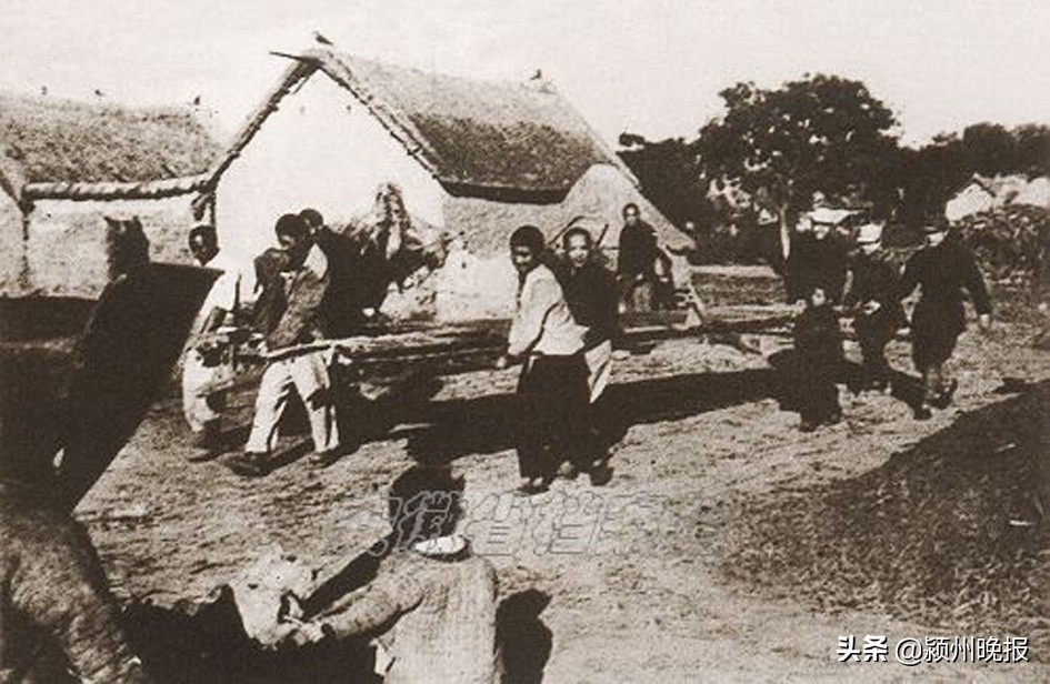 阜阳人民抗战,阜阳为全国的贡献