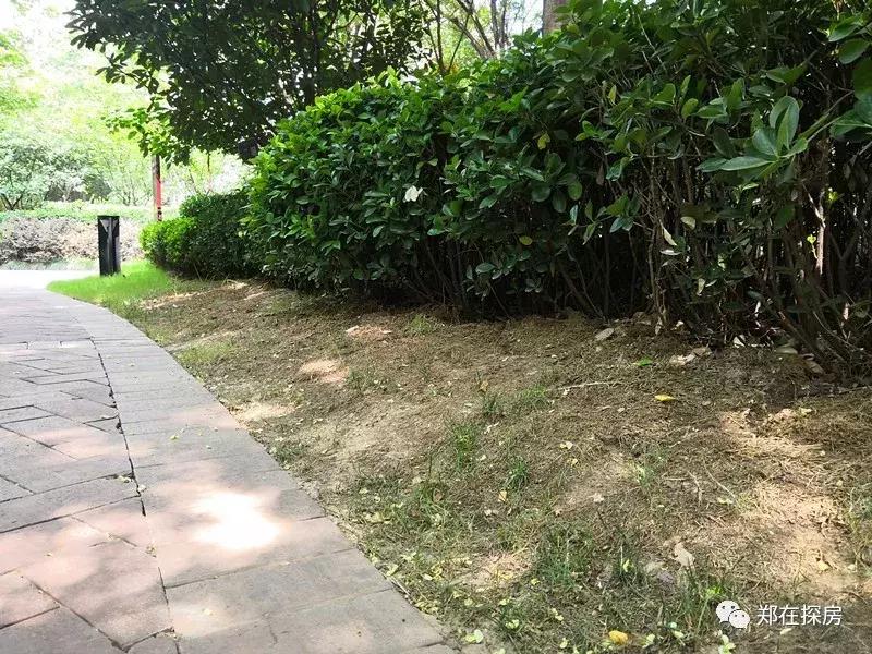 江汉区海马公园小区地址,海马公园高端住宅