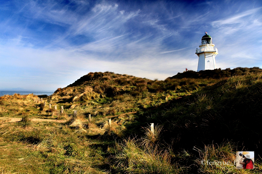 新西兰有哪些景观,新西兰风景最好的地方在哪里