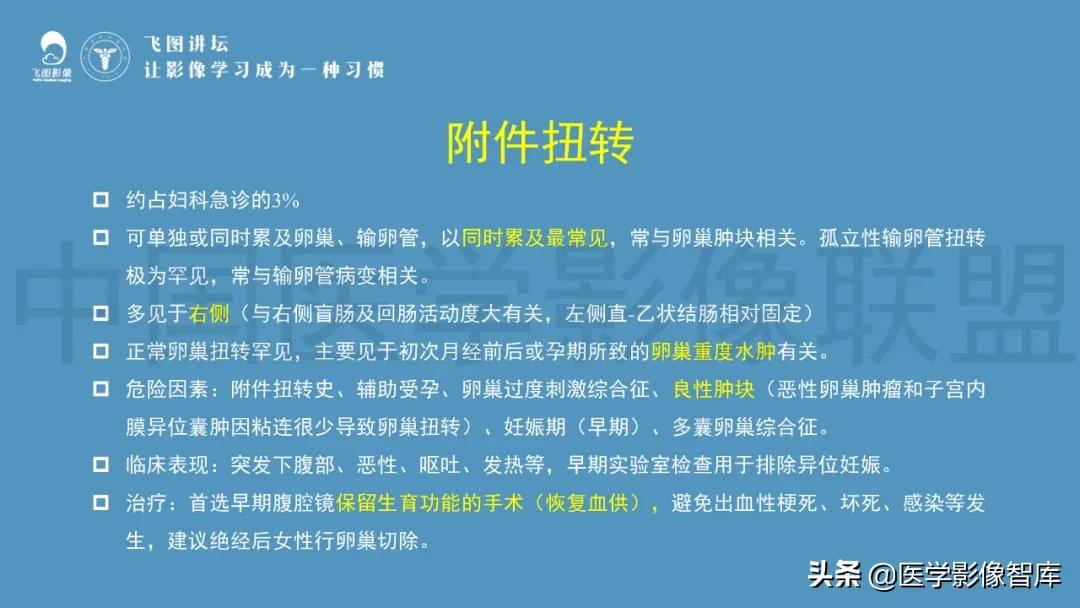 子宫解剖结构输卵管和卵巢位置,子宫附件ct影像学正常解剖表现