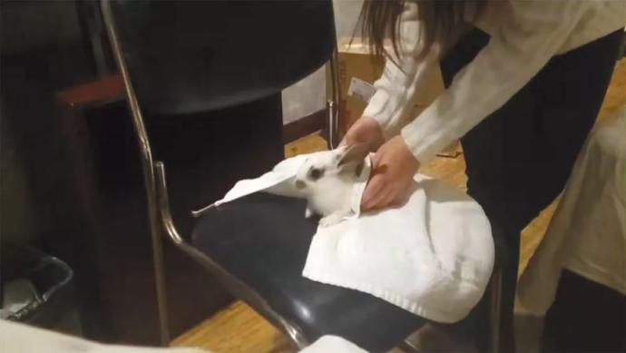 濂充汉铏愬緟鍔ㄧ墿鐪熷疄浜嬩欢,濂冲瓙铏愬緟鍔ㄧ墿鐪熷疄浜嬩欢