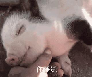 肾虚吃腰子能补肾吗,肾亏腰疼吃枸杞有用吗