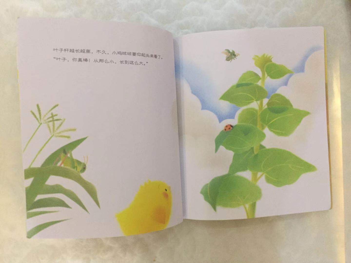 0-3岁立体绘本推荐,0-2岁幼儿阅读绘本推荐