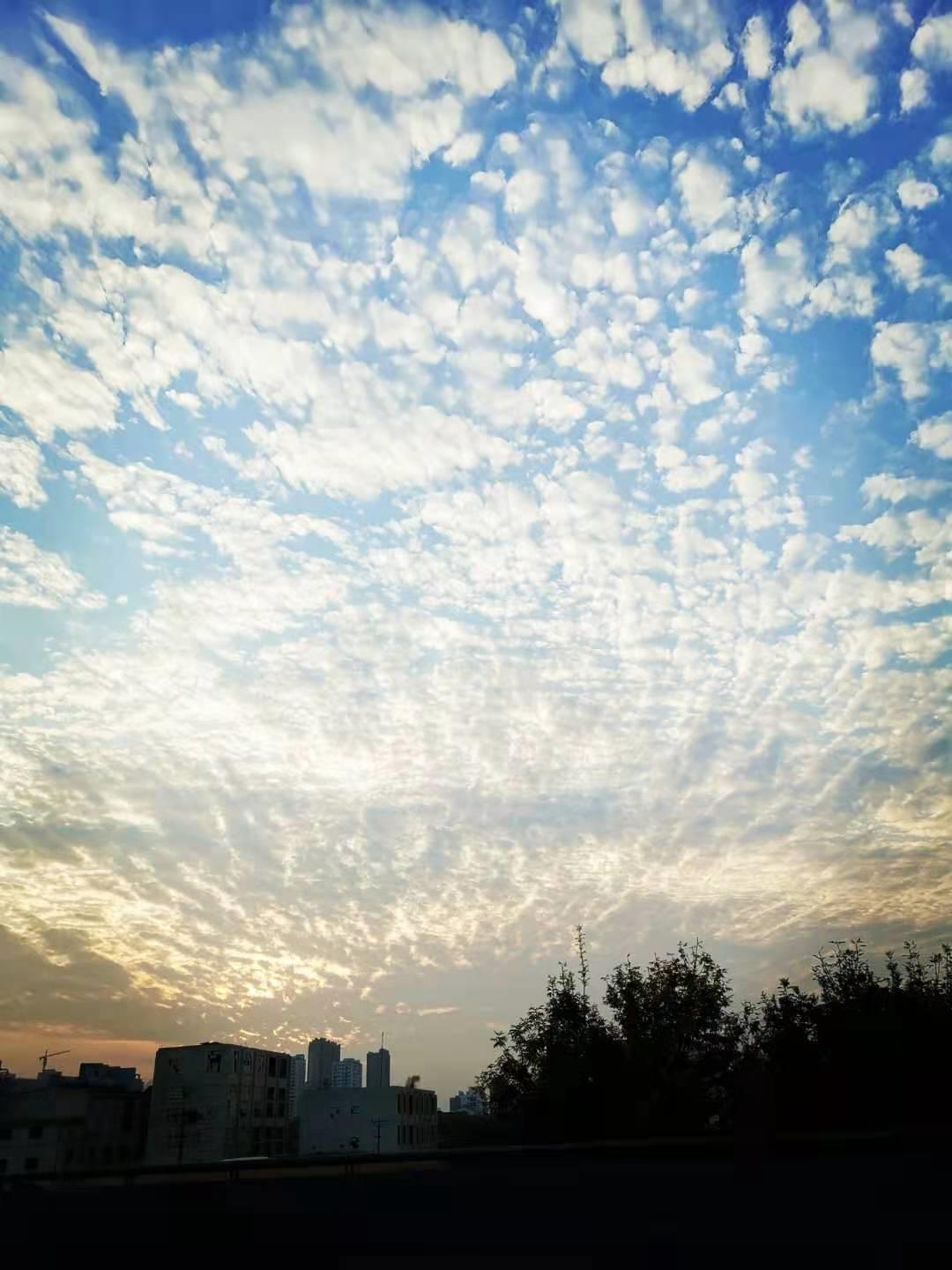 装修日记之瓷砖篇,装修买瓷砖省钱攻略