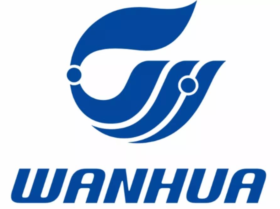 2023全球化工巨头排名,全球500强企业排名恒力