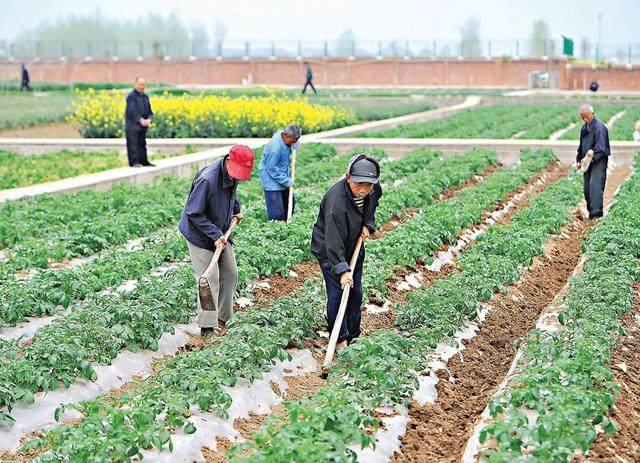 父母双亡后，我独立抚养弟弟长大，他在婚礼上的做法让我又哭又笑