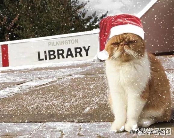 申请拉夫堡体育专业研究生很难吗,申请拉夫堡体育本科