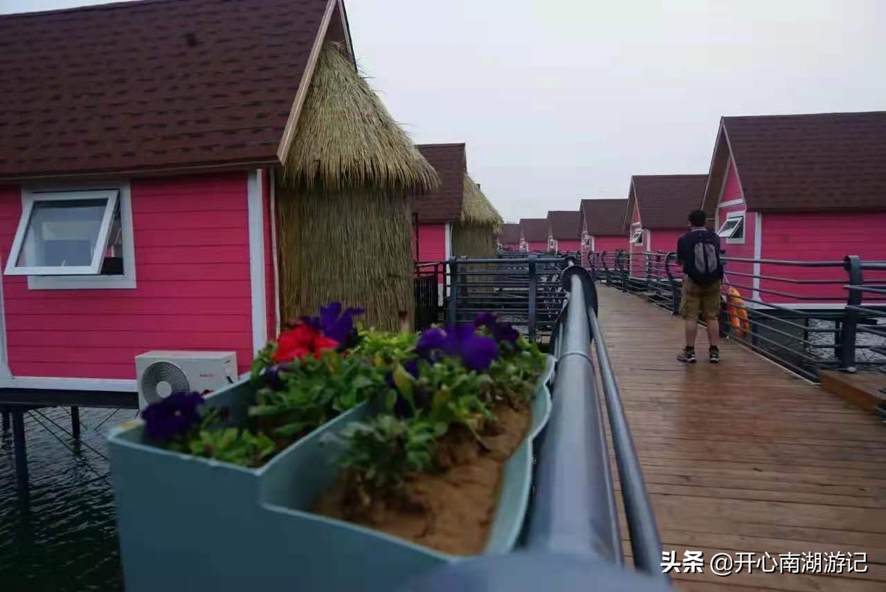 一花一世界，一叶一菩提，与浪漫的月坨岛比邻，菩提岛你去过吗？