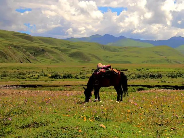 人间天堂美景原唱完整版,人间天堂美丽的丽江