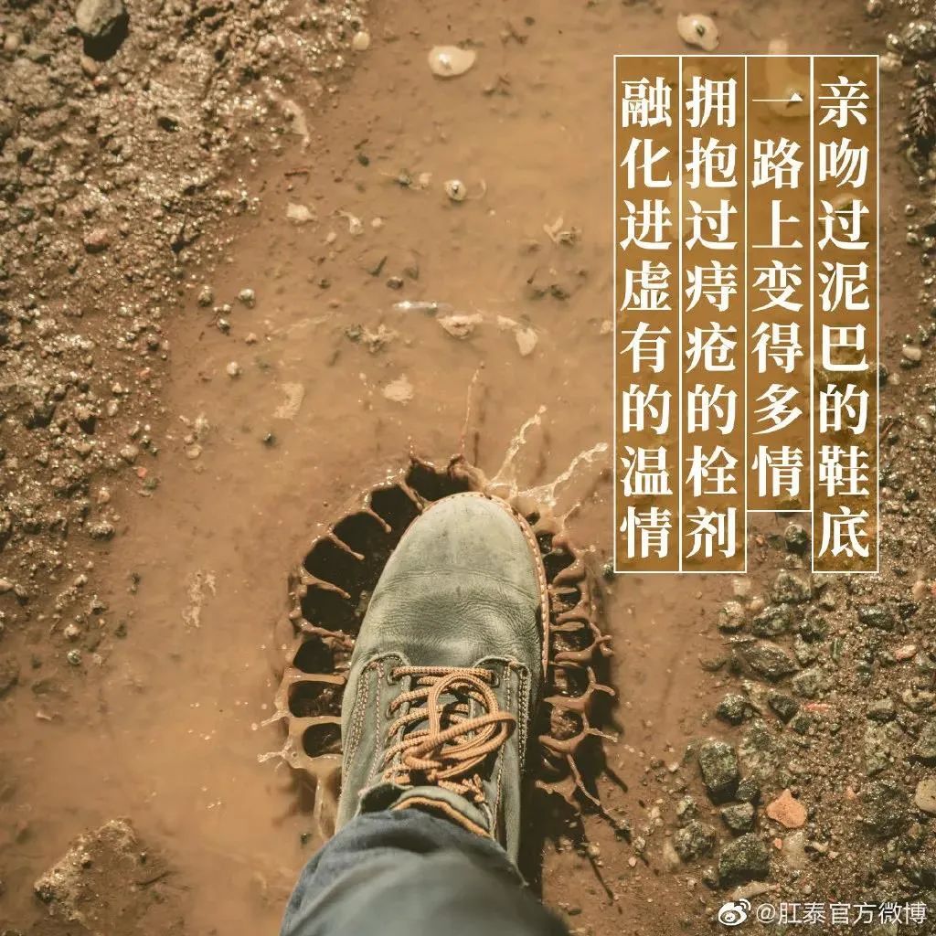 肛泰湿巾广告语,肛泰搞笑广告词怎么说