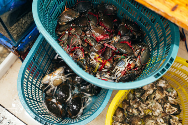 坐轮船多少钱三亚,去三亚坐轮渡7座车多少钱