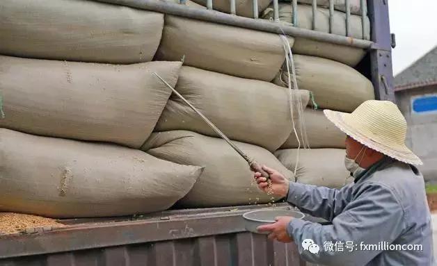 心态正能量简短小案例,心态正能量小故事