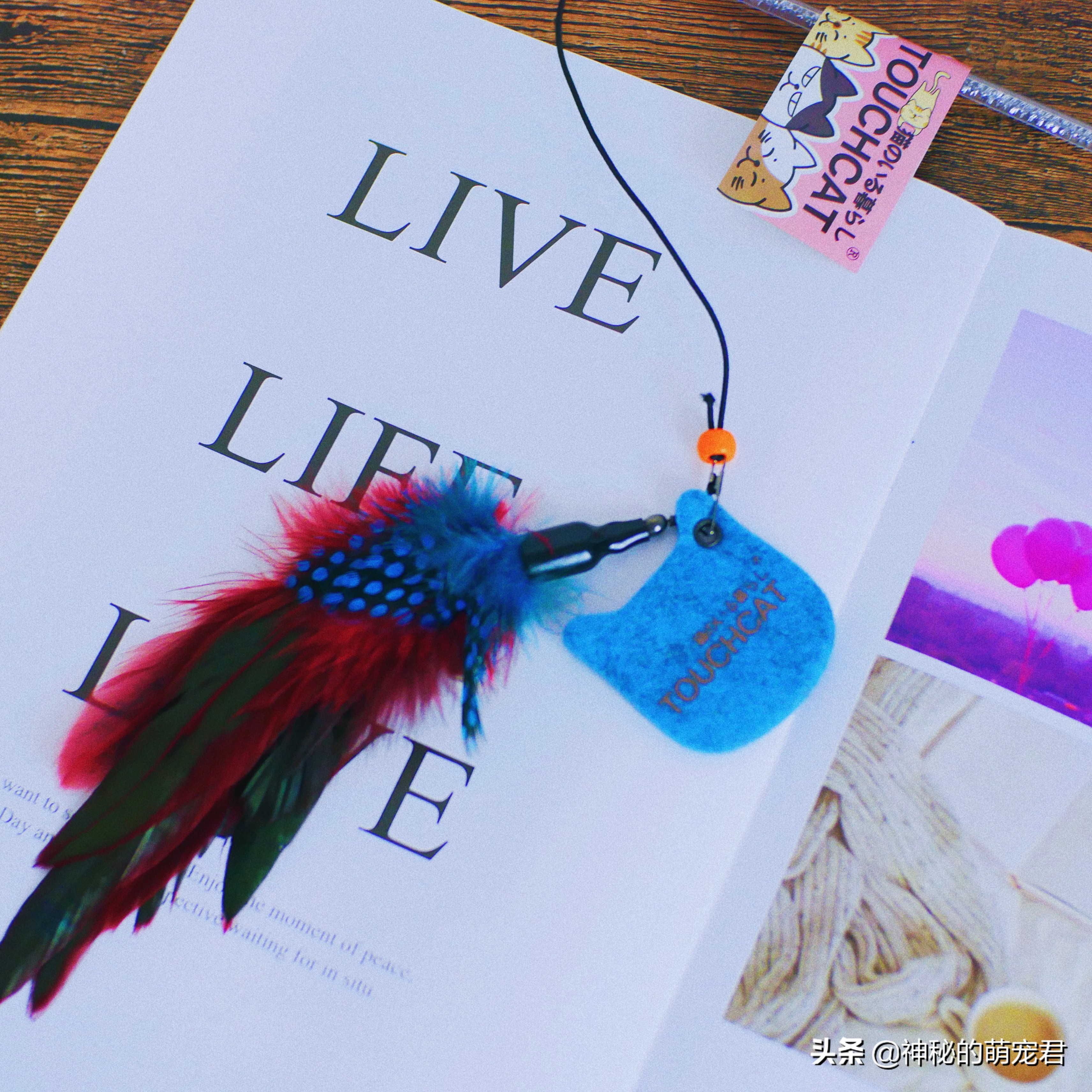 什么逗猫棒猫咪会玩,怎么做猫咪玩的逗猫棒