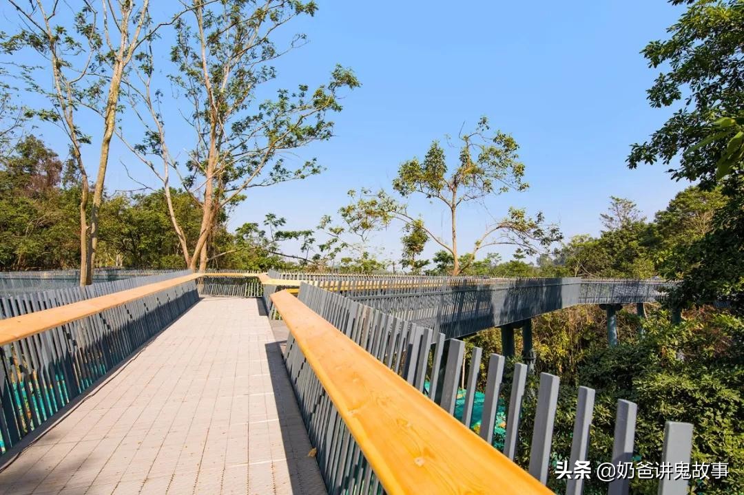 深圳五条超美绿道,龙华环城绿道羊台山段从哪进