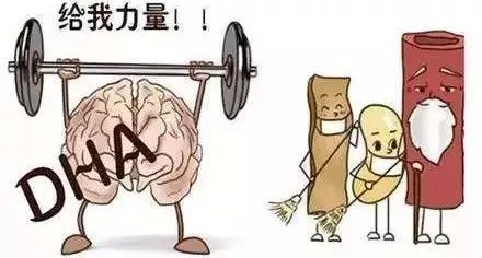 宝宝吃dha藻油真的会聪明吗,婴儿补充dha真的能让大脑变聪明吗