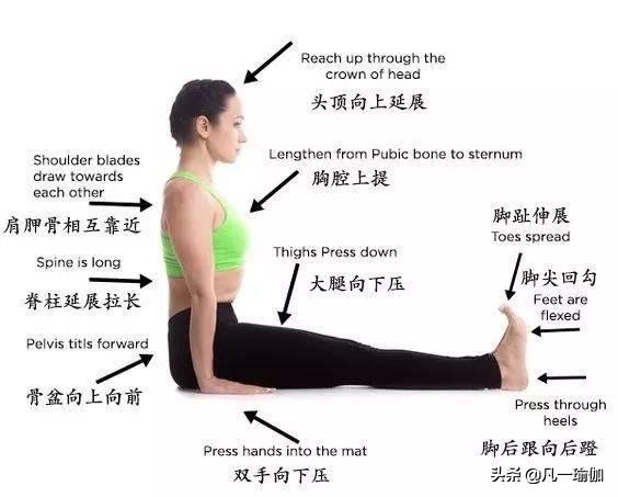 瑜伽练习的基本原则,瑜伽之光讲的什么