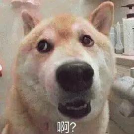 天天敷面膜是护肤还是毁脸,天天敷面膜的人会怎么样