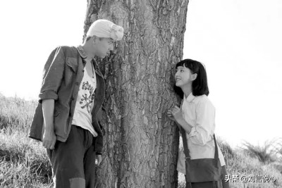 平凡真善美,平凡的世界给我们的启示