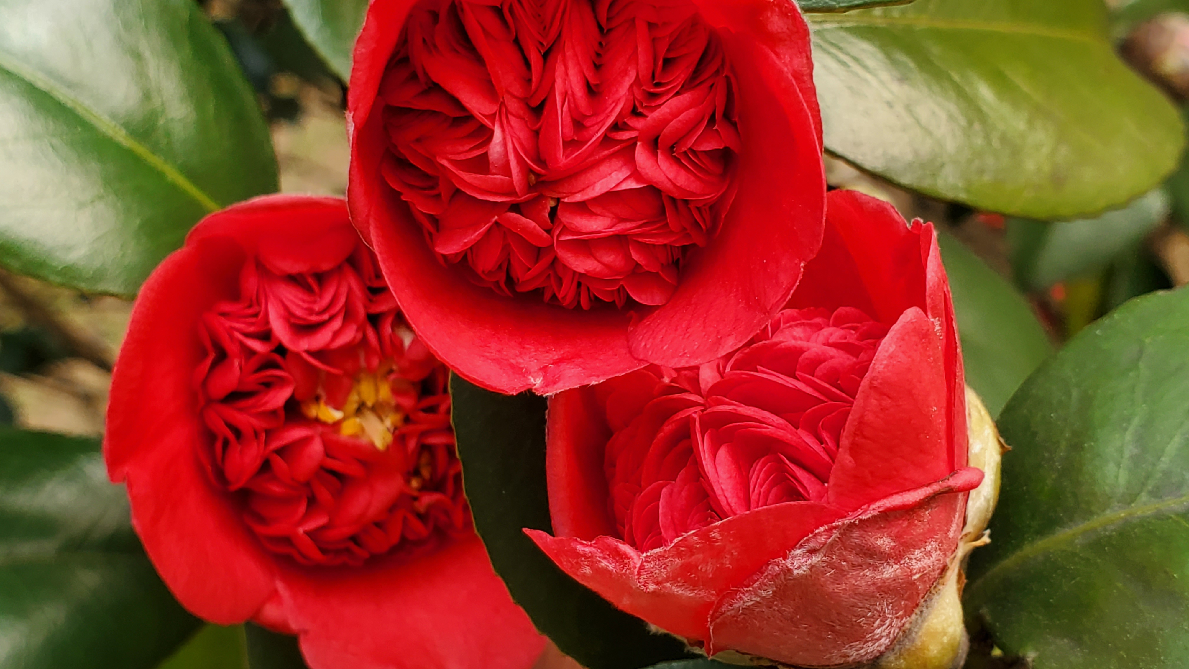 和春住。带着小神兽去踏青