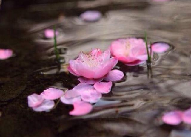 龙靓《送周韶》，文中运用三个典故，表达诗人对周韶的美好祝福