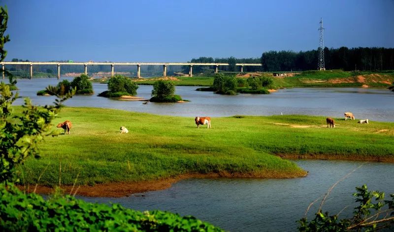 「今日作家」陈洪明‖家乡旧景永难忘(散文)