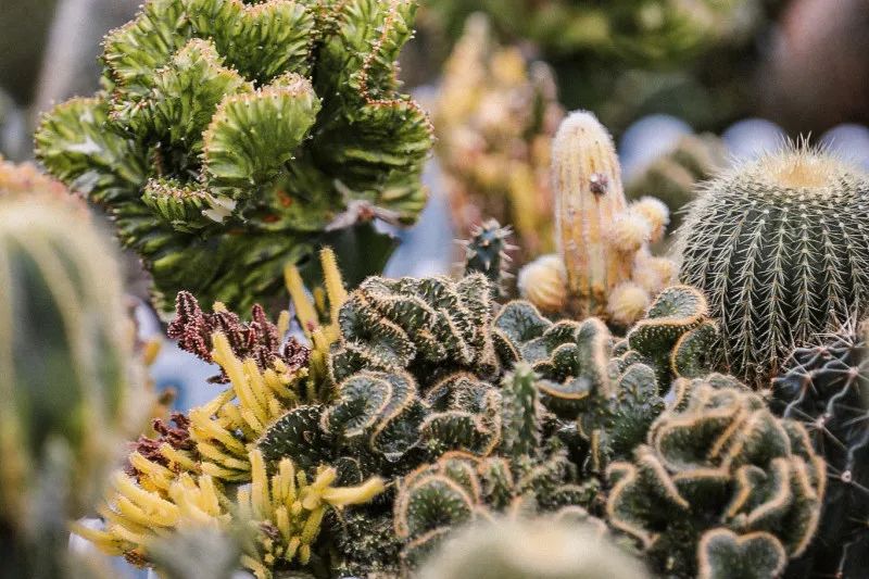 在大山深处幽静绝美的村落,深藏大山中的村落