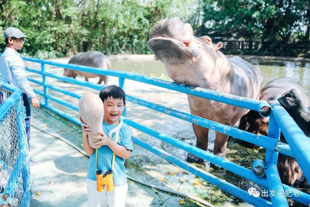 长隆飞鸟乐园长隆熊猫酒店怎么选,周一长隆野生动物园游玩攻略