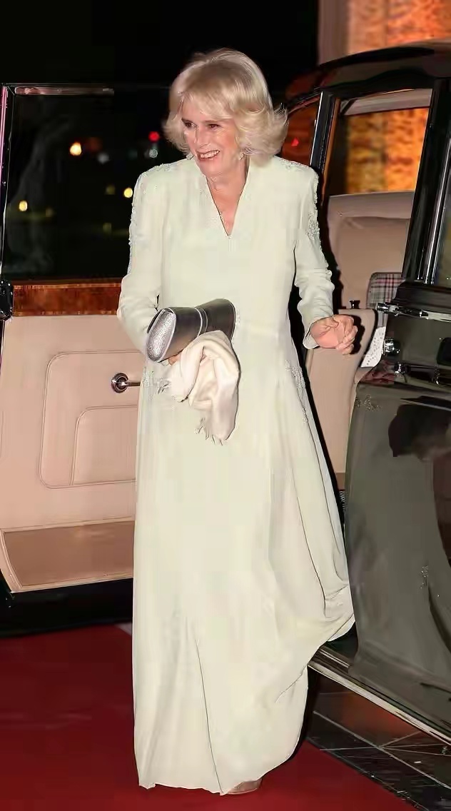 卡米拉 约旦王后 屈膝礼 (卡米拉向约旦王后行屈膝礼)