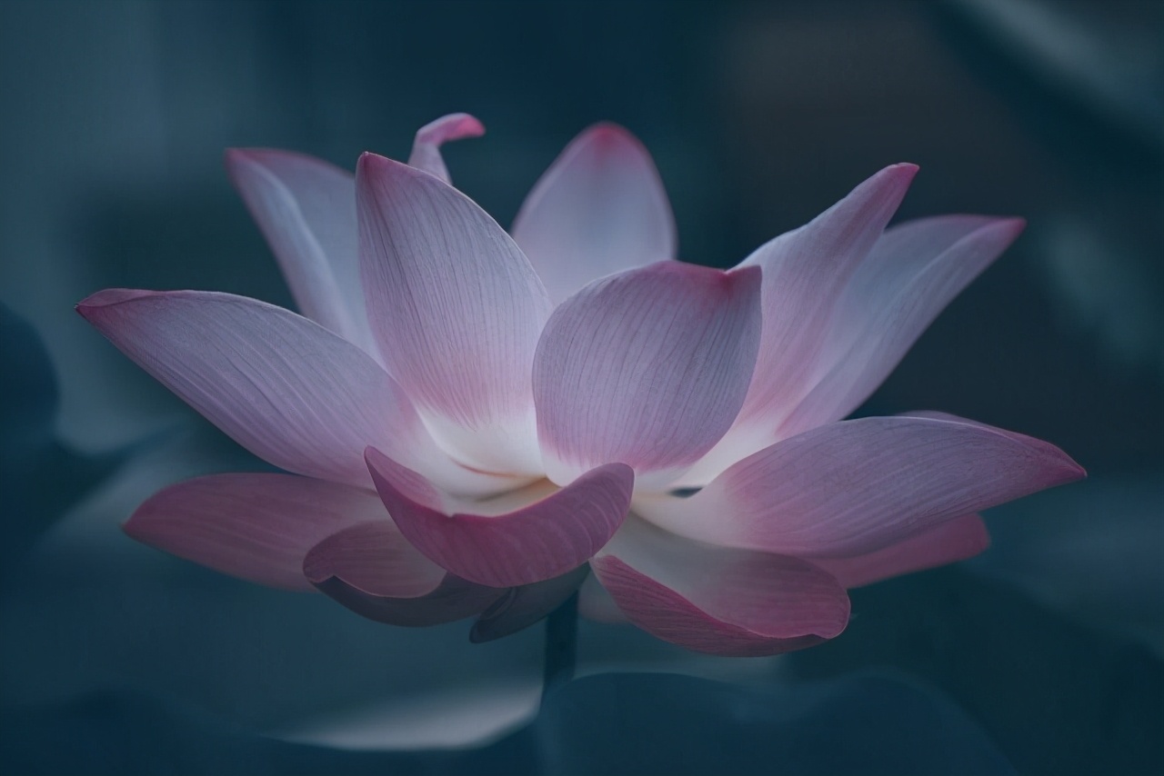 前世相欠今生遇见的属相,前世相欠今生相遇原唱