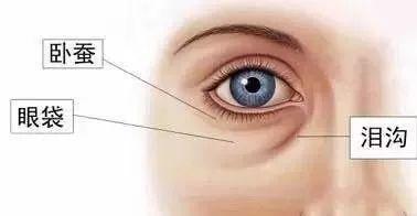 她靠“脸崩”博出位，曾经的女王要“凉凉”