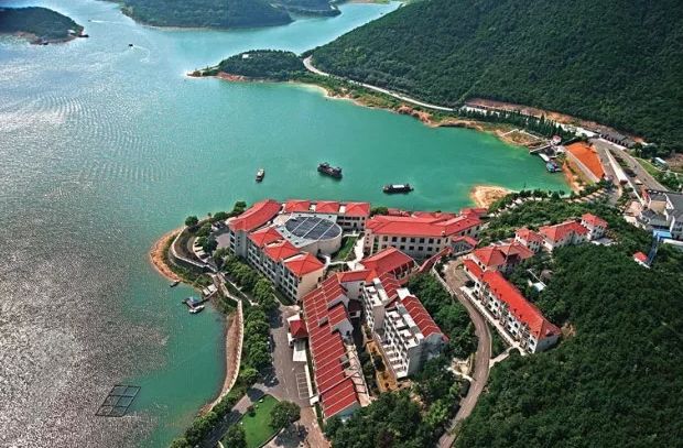 砥砺前行感恩有你,2019感恩有你2020一路同行共创佳绩