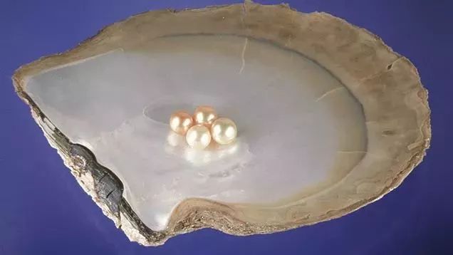 便宜的珍珠和贵的珍珠有什么区别,珍珠的价值和市场价你知道多少