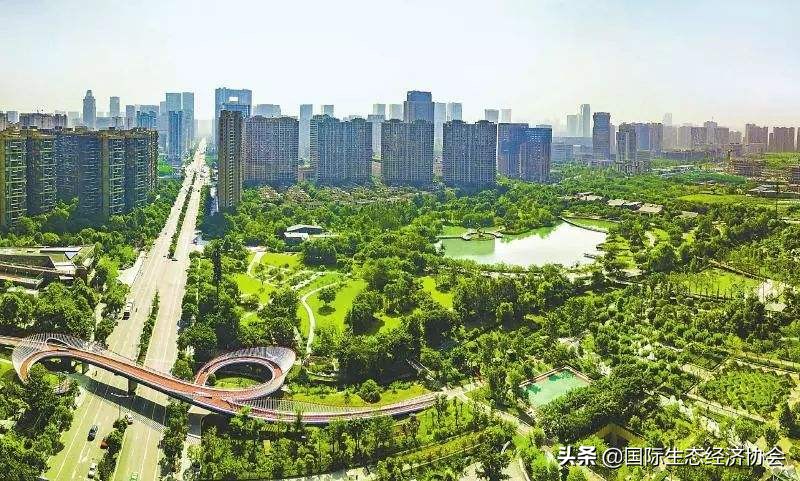 如何理解生态环境就是生产力,如何理解生态就是经济