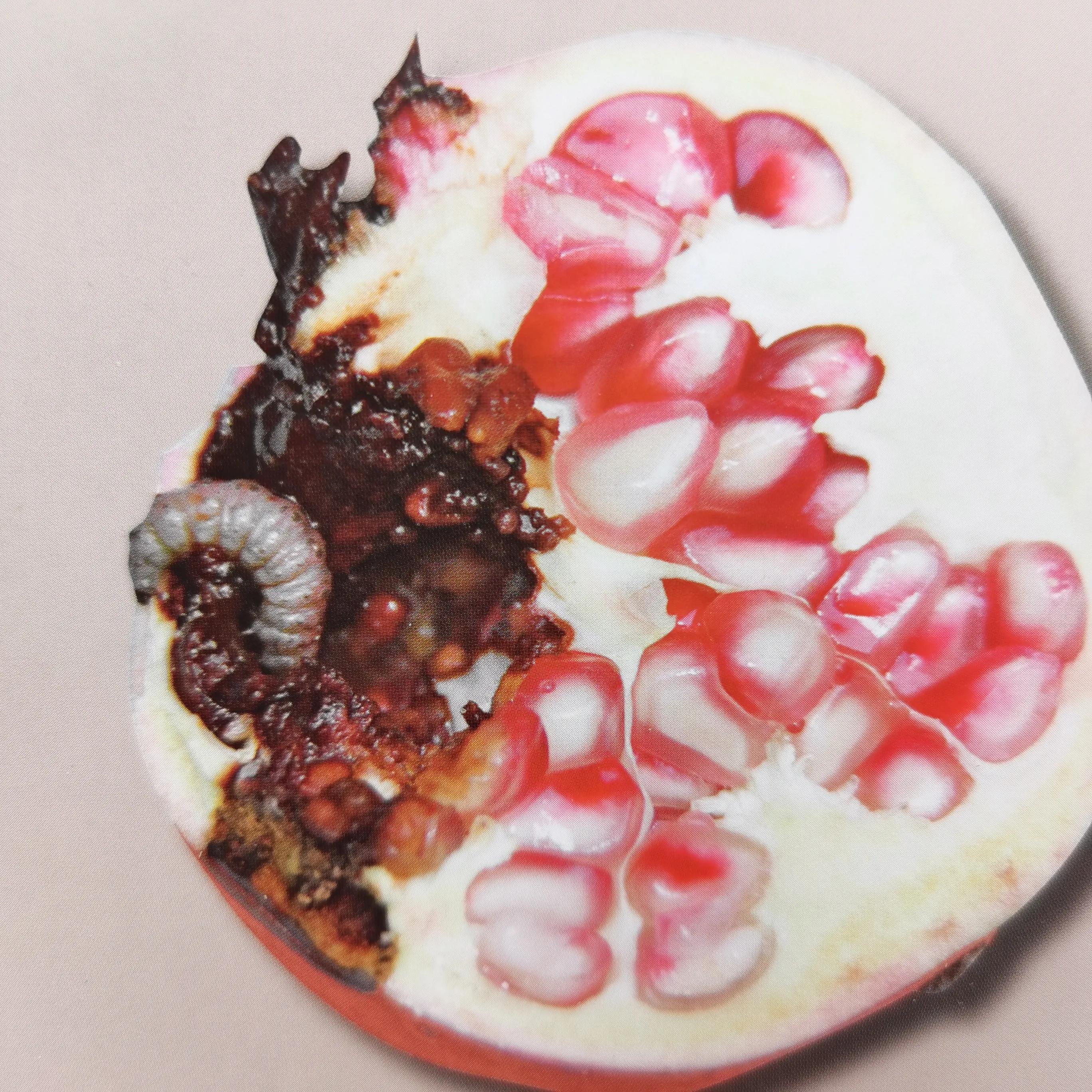 食心虫如何防治呢？有两种方法一种是化学防控，一种是物理防控