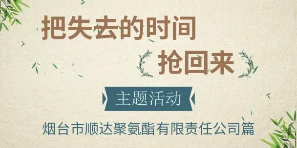 烟台顺达聚氨酯有限公司,烟台顺达聚氨酯工作性质