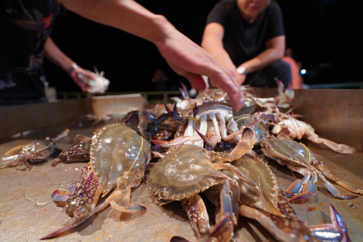 隔夜蟹为啥不能吃,隔夜螃蟹吃了死亡