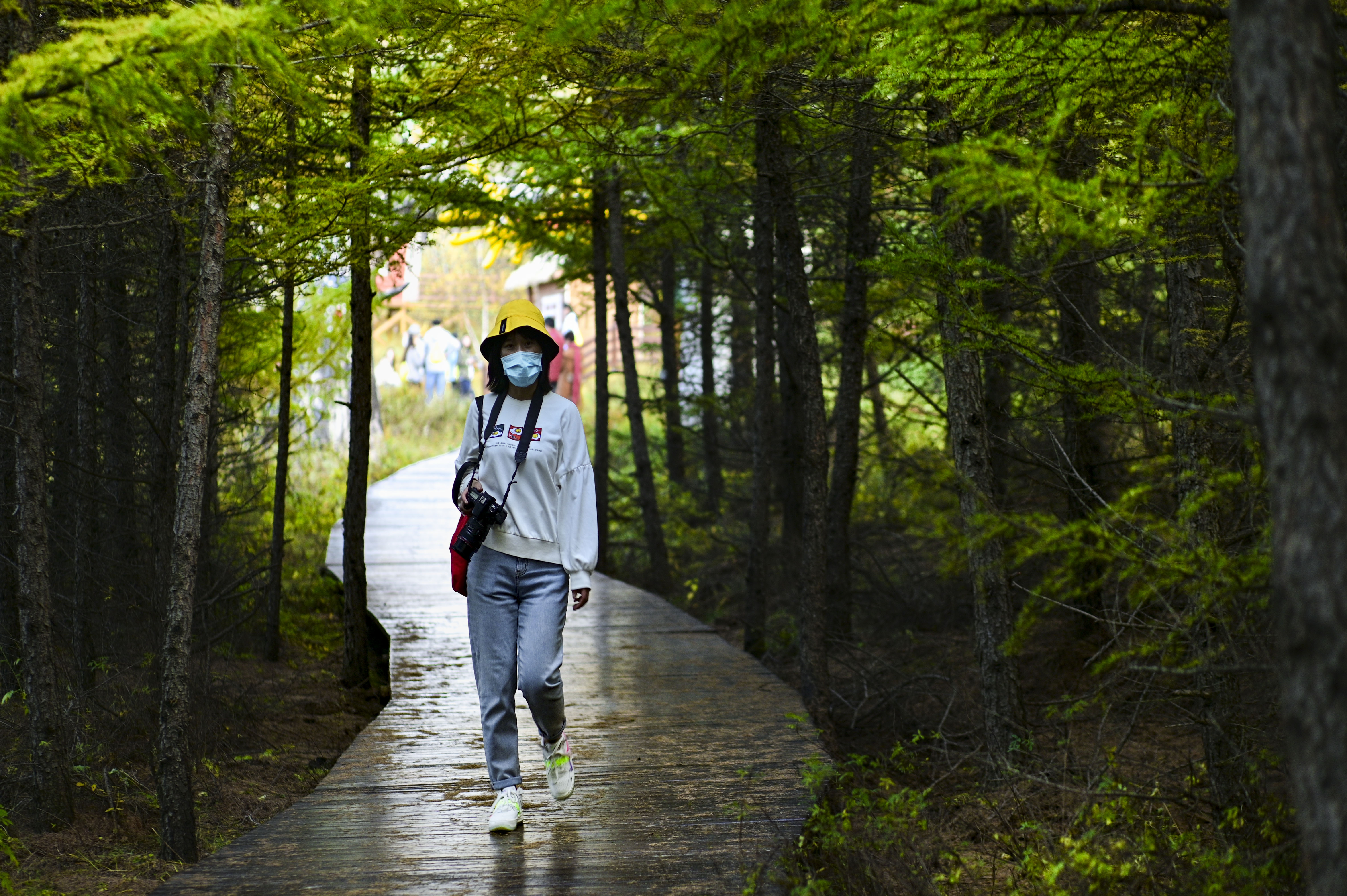 丰宁神仙谷七彩森林景区地图,丰宁坝上七彩森林游玩攻略