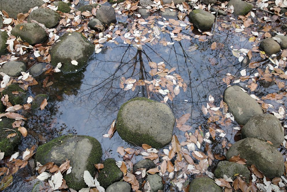 盱眙:你说你喜欢“森系”,而这里就是润肺度假胜地