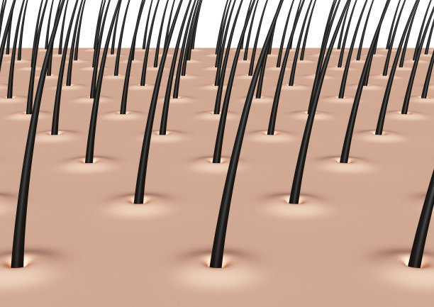 头发少出油怎么打理发型,油腻的头发怎么打理