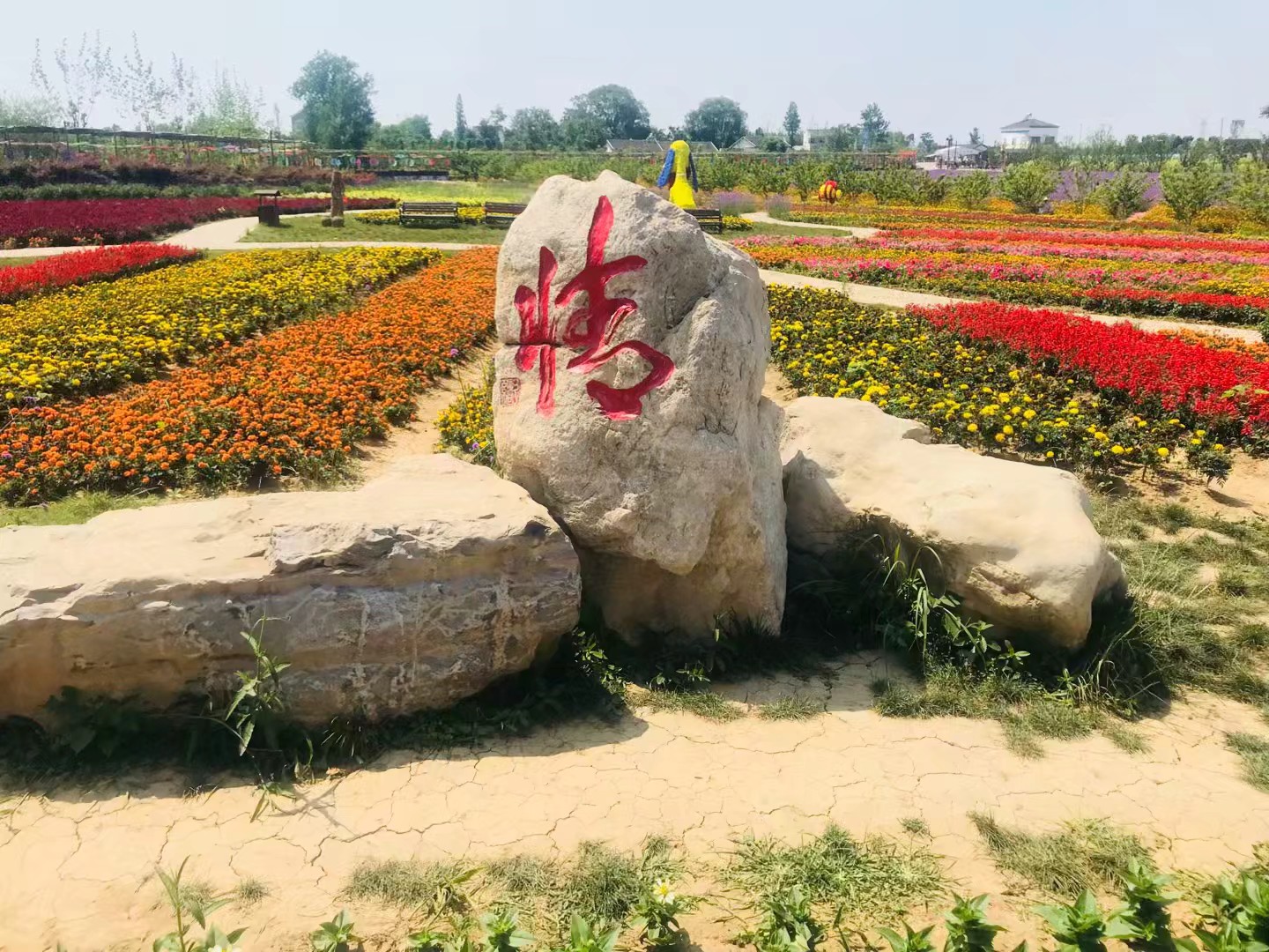 同心花海风景区,春光无限好旅游观光