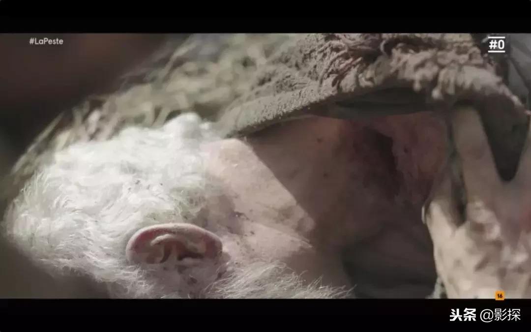 节操撕裂……我宣布，年度硬盘之王诞生了！