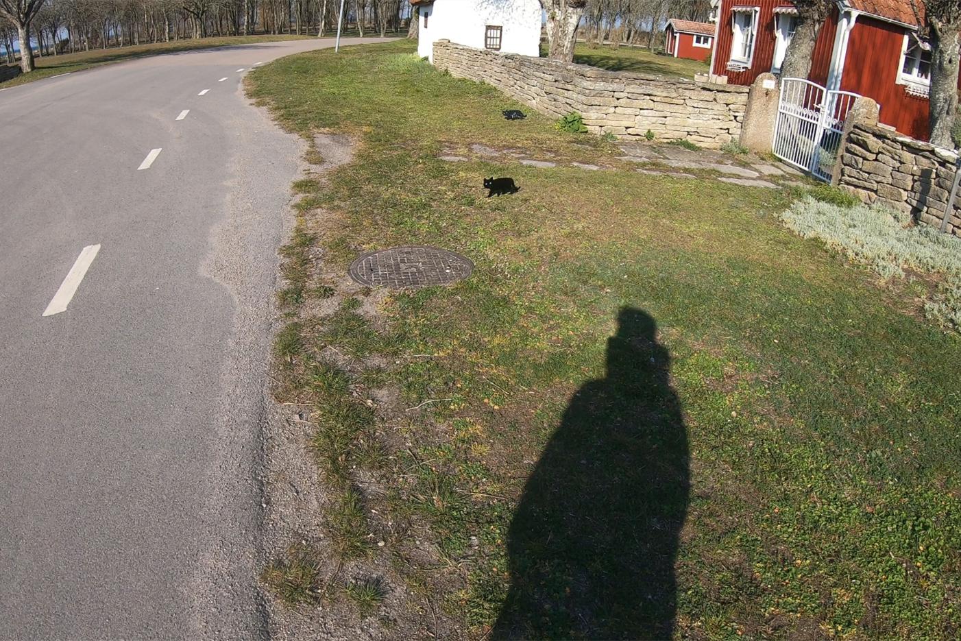 中国小伙的航海日记（三）：瑞典小岛采购，雷暴前最后的宁静