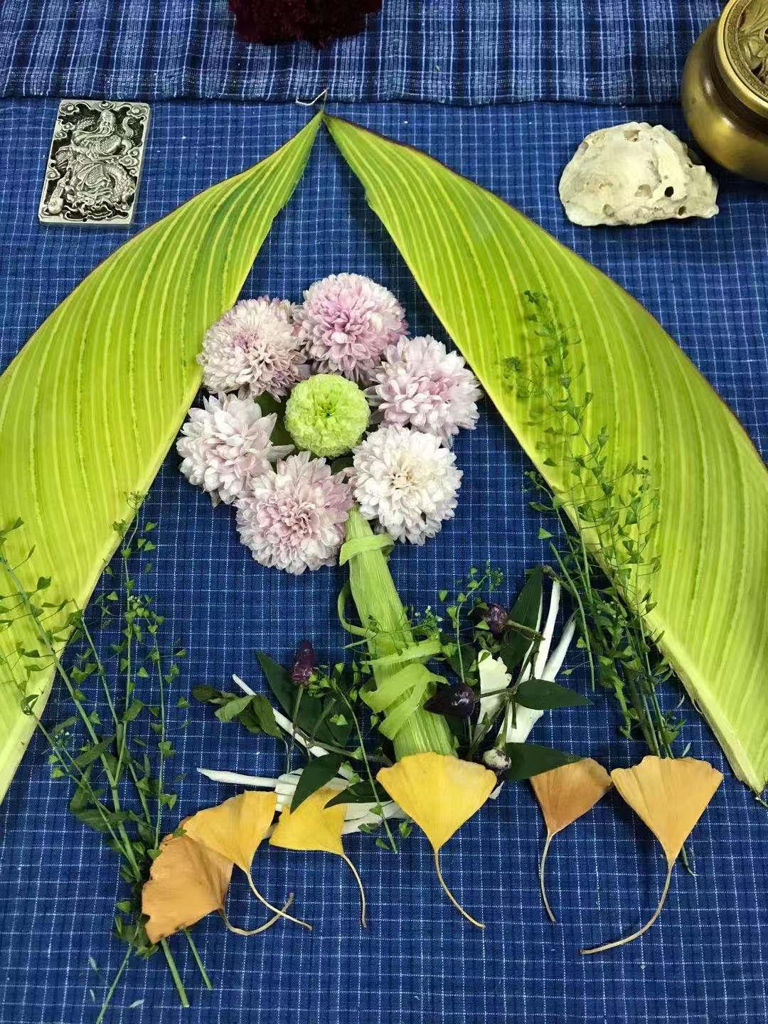 摆拍姿势大全植物,植物拍照摆拍图片大全