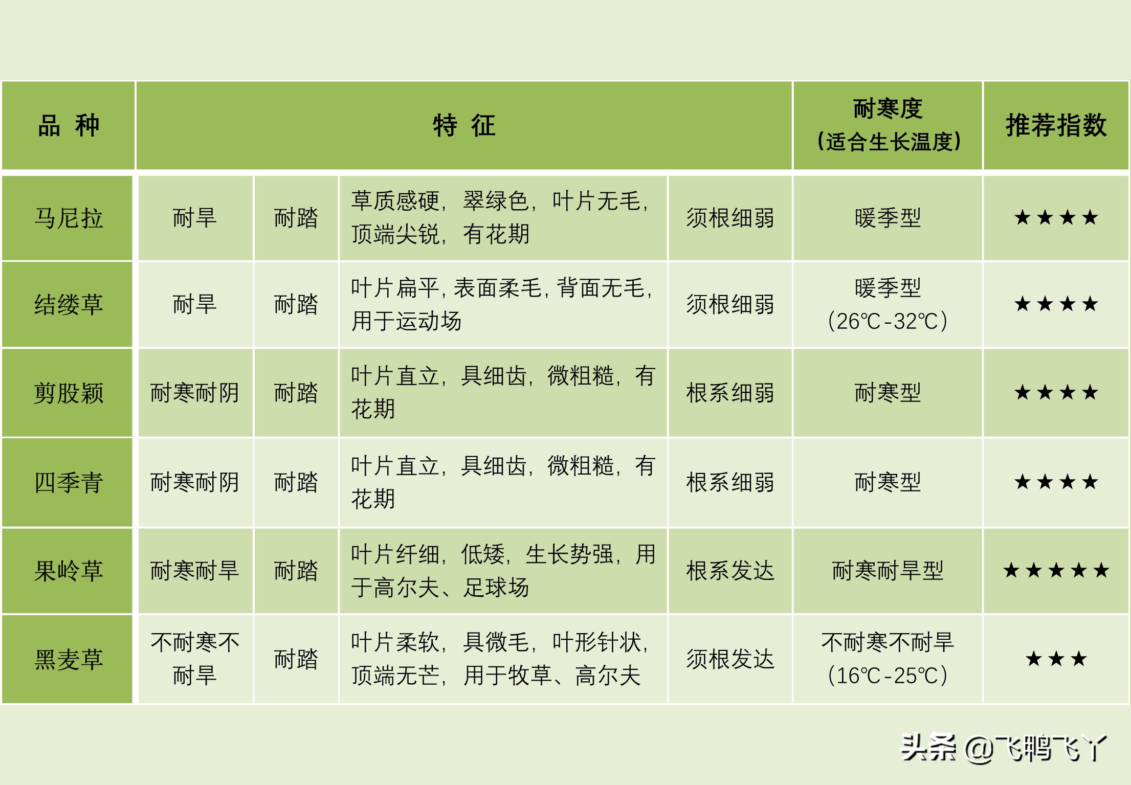 家庭庭院草坪最好种什么品种,庭院草坪草籽哪个品种好