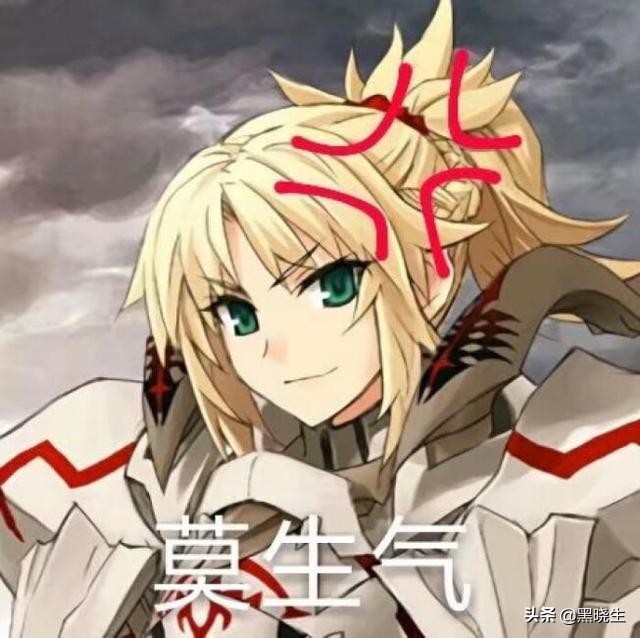 命运冠位指定恩奇都,命运冠位指定终局特异点